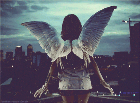 My Wings